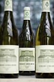 Grüner Veltliner, Schloss Gobelsburg, Gobelsburg, Niederösterreich