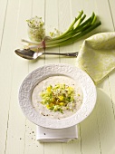 Spicy cold yogurt yogurt with spring onions and sprouts