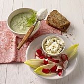 Chicory and radishes with curried cream cheese and herb soup