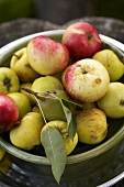 A bowl of organic apples