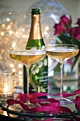Two champagne cocktails with a bottle of champagne in the background (Christmas)