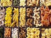 A seedling tray filled with various types of pasta