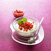 White chocolate mousse with strawberry balls