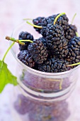 Blackberries in a small bowl