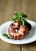 Grilled octopus with herbs