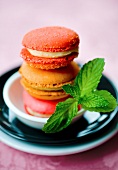 Colourful macarons garnished with mint