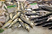 Fresh mackerels on a market stall (Mercat de St. Josep (Boqueria), Las Ramblas, Barcelona, Spain)