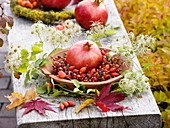 Granatapfel im Hagebuttenkranz, Zweige von Clematis mit Fruchtständen, Herbstlaub