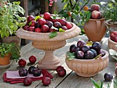 Red and purple plums in terracotta bowls