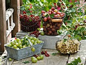 Baskets of red- and white currants and gooseberries