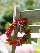 Small wreath of redcurrants on garden chair