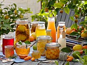 Citrus fruit products: jelly, bottled fruit and juice
