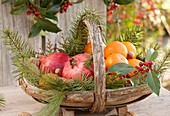 Fruit in trug (Christmas)