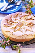 Apple sponge cake