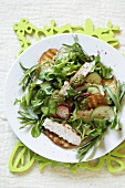 Chicken salad with radishes, cucumber, pesto and croutons