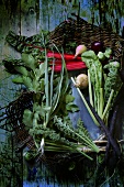 Vegetables in basket on blue wood