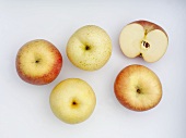 Nashi pears and Fuji apples
