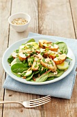 Summer salad with grilled chicken breast and sunflower seeds