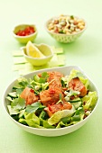 Salad of marinated salmon, cucumber, lettuce, coriander and chilli