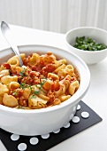 Conchiglie with chicken bolognese