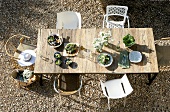 Laid table with salad out of doors