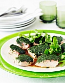 Poached tuna medallions with herb crust