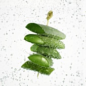 Pieces of Aloe vera leaf on cocktail stick in water
