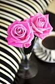 Pink roses in vase