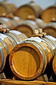 Balsamic vinegar maturing in wooden barrels