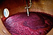 Beetroot mash in still for distillate production