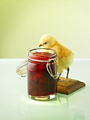Strawberry jam, chick beside jar