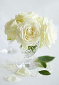 White roses in crystal glass