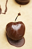 Chocolate-coated cherry