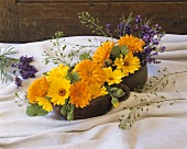 Medicinal plants (marigold, lavender, shepherd's purse)