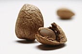 Opened almond shell with almond