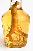Ginseng liqueur with a ginseng root