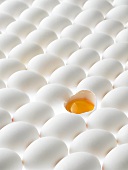 Viele liegende weiße Eier, eines geöffnet