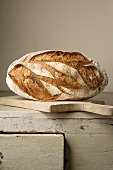 Farmhouse bread on wooden cupboard