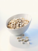 White beans in a white bowl