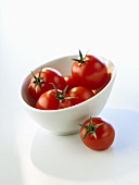 Red tomatoes in white bowl