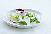 Assorted salad leaves on a plate