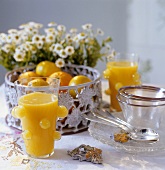 Still life with orange juice and citrus fruit