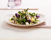 Spring salad with edible flowers