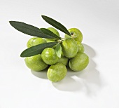 Frische, grüne Oliven
