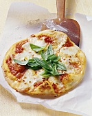 Pizza Margherita (Pizza mit Tomaten & Büffelmozzarella )