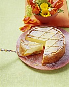 Apricot cheesecake