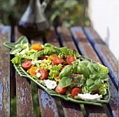 Gemischter Salat mit Cocktailtomaten auf Gartentisch