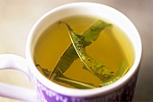 A cup of lemon verbena tea