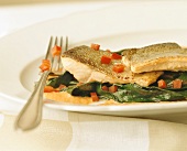 Fried salmon trout on chard