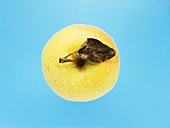 Yellow apple with drops of water